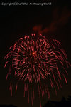 2007ema_hanabi_016.jpg