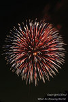 2007ema_hanabi_018.jpg