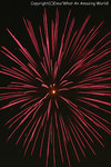 2007ema_hanabi_02.jpg