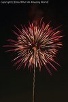 2007ema_hanabi_04.jpg