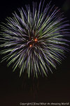 2007ema_hanabi_09.jpg