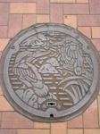 2007高幡不動尊あじさい012
