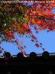 20081205osaka04.jpg