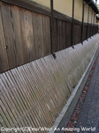 20081205osaka07.jpg