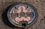 2008sakura_07.jpg